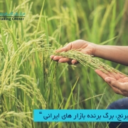 مرکز بازرگانی فردوسی-ferdowsi trading center-صادرات برنج ایرانی
