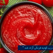 مرکز بازرگانی فردوسی-ferdowsi trading center-صادرات رب گوجه فرنگی
