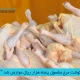 مرکز بارگانی فردوسی-ferdowsi trading center-صادرات گوشت مرغ