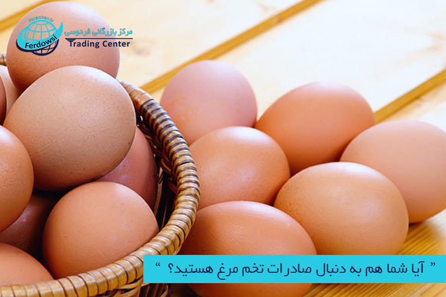 مرکز بازرگانی فردوسی-ferdowsi trading center-آیا شما هم به دنبال صادرات تخم مرغ هستید؟ 