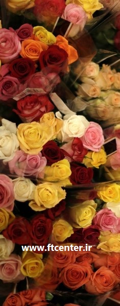 خریدار گل و گیاه صادراتی ایران
