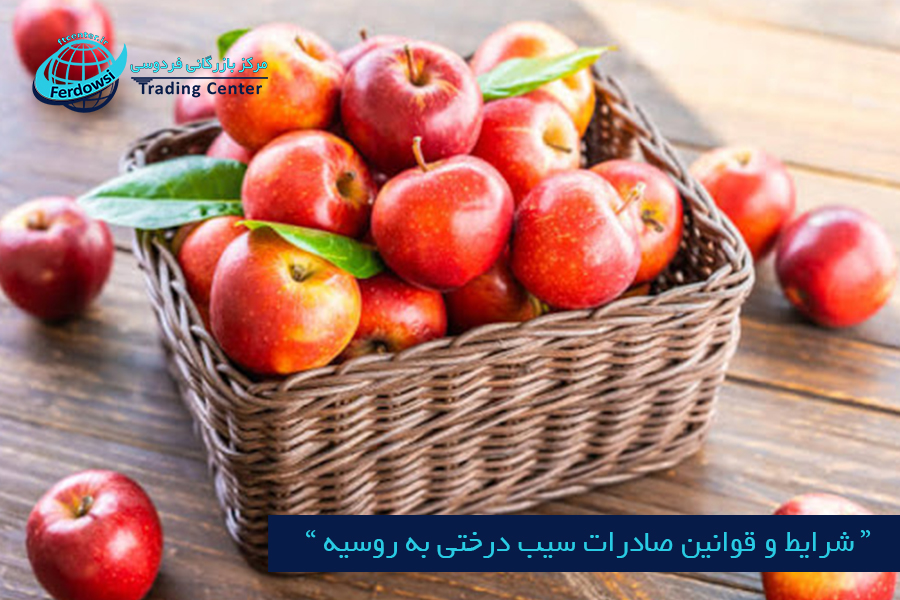 مرکز بازرگانی فردوسی-ferdowsi trading center-شرایط و قوانین صادرات سیب درختی به روسیه