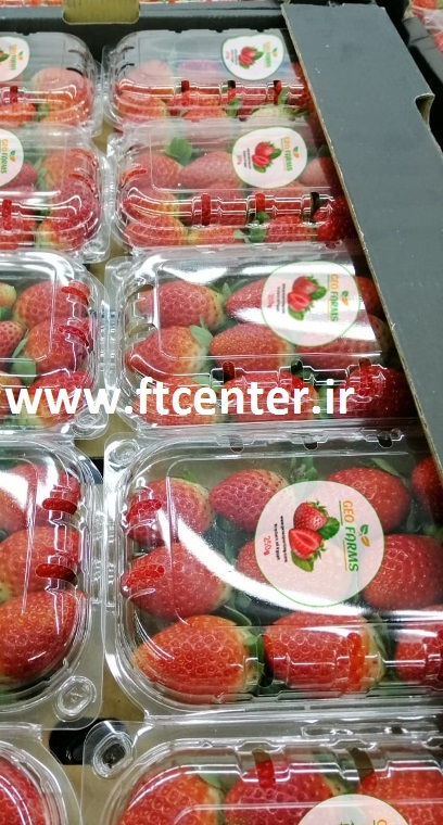 صادرات توت فرنگی از ایران