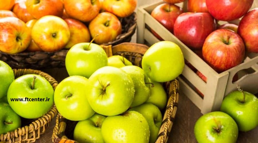 صادرات سیب درختی ایران