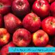 صادرات سیب درختی و مهم ترین نکات مربوط به آن