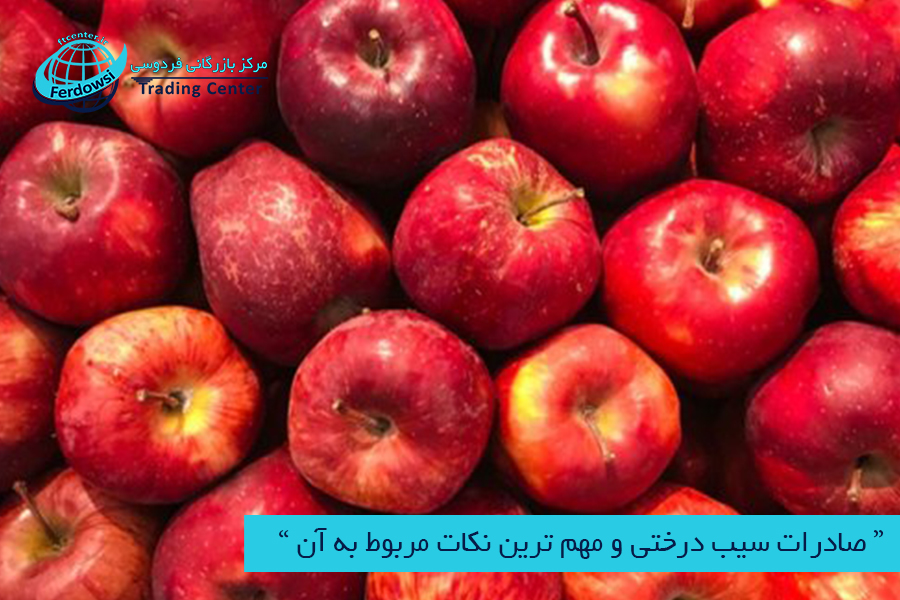 صادرات سیب درختی و مهم ترین نکات مربوط به آن