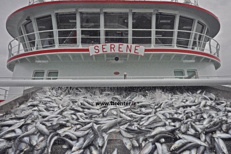 صادرات ماهی و غذاهای دریایی به اروپا