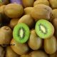 صادرات میوه کیوی گیلان
