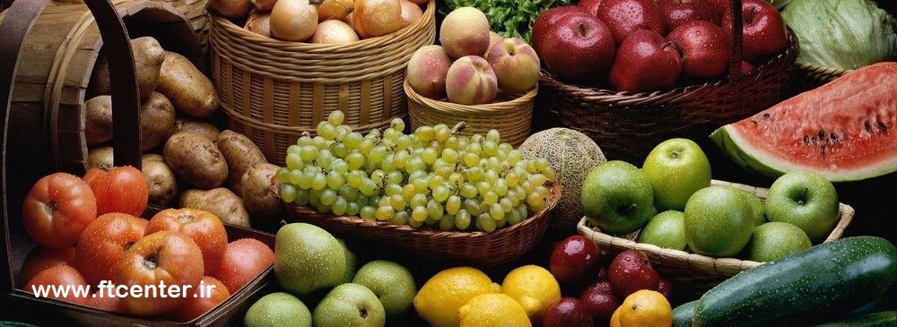 صادرات میوه به اروپا