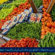 مرکز بازرگانی فردوسی-ferdowsi trading center-لیست مهم ترین محصولات کشاورزی صادراتی ایران (قسمت دوم)