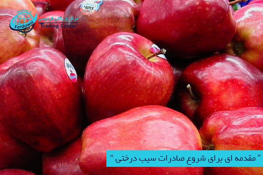 مرکز بازرگانی فردوسی-ferdowsi trading center-صادرات سیب درختی